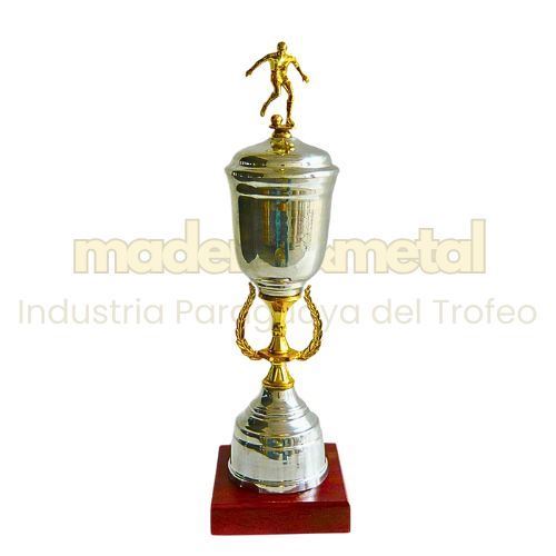 Imagen de Copa de metal con tapa - M5.1630